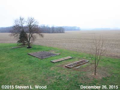 Our Senior Garden - December 26, 2015