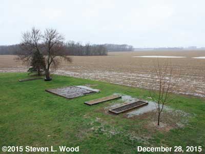 Our Senior Garden - December 28, 2015