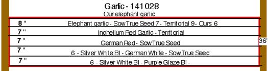 2015 Garlic Bed