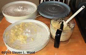 Spreading sliced garlic on food processor trays