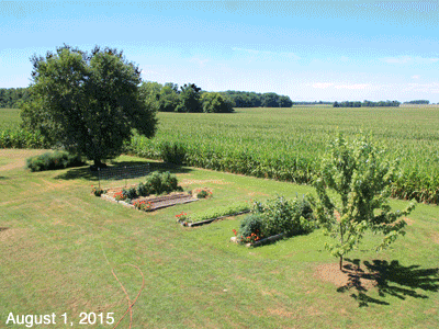 August, 2015, Animated GIF of our Senior Garden