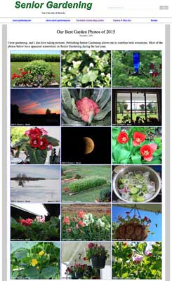 Our Best Garden Photos of 2015