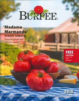 Burpee