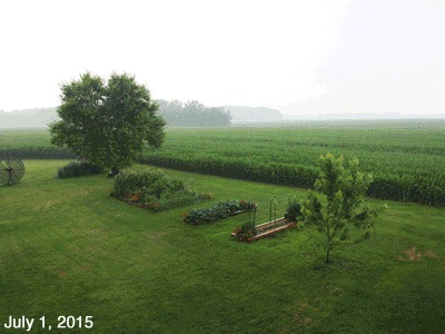 July, 2015, Animated GIF