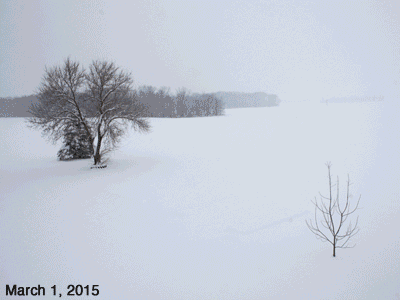 March, 2015, animated GIF