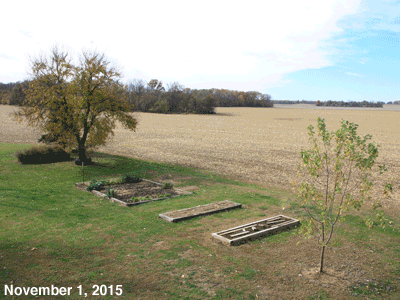 Our Senior Garden in November, 2015