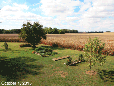 October, 2015, animated GIF of our Senior Garden