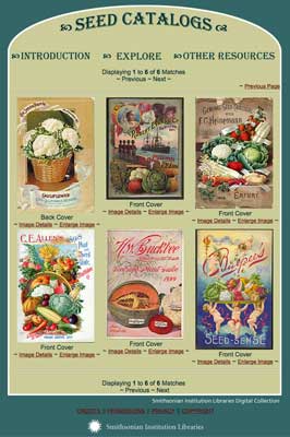 Smithsonian Catalogs - Cauliflower