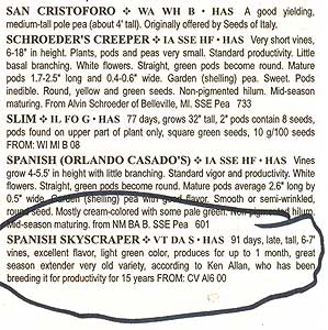 Sylvia Davitz's entry for Spanish Skyscraper peas