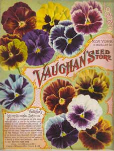 Vaughan Seed Store - 1899