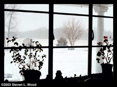 Out our window, January 20, 2003
