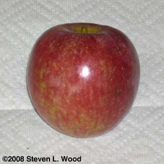 Sooty mold removed from apple