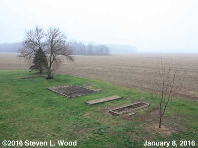 Our Senior Garden - January 8, 2016