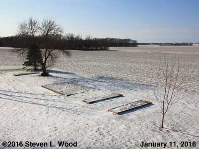 Our Senior Garden - January 11, 2016