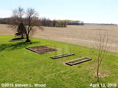 Our Senior Garden - April 13, 2016