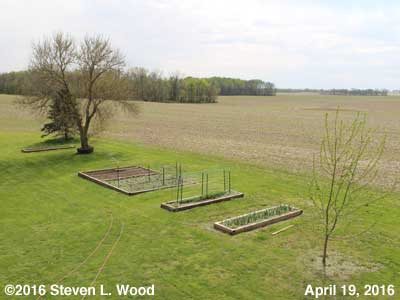 Our Senior Garden - April 19, 2016