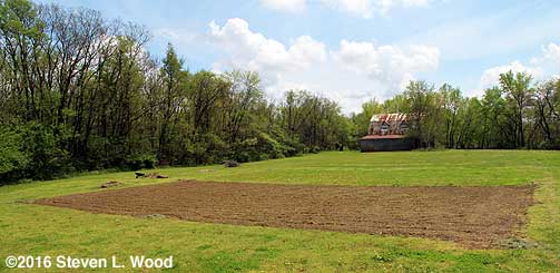 Entire East Garden