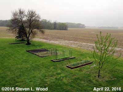 Our Senior Garden - April 22, 2016