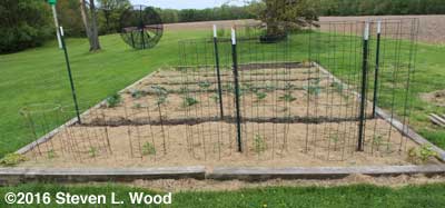 Main raised garden bed, April 29, 2016