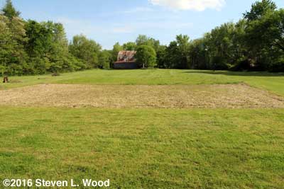 East Garden and field