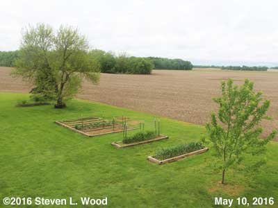 Our Senior Garden - May 10, 2016