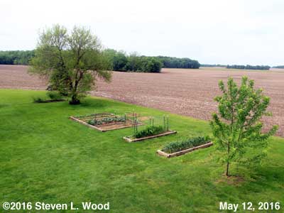 Our Senior Garden - May 12, 2016