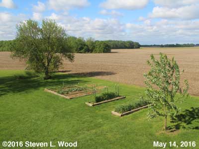 Our Senior Garden - May 14, 2016