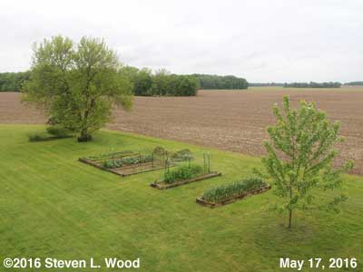 Our Senior Garden = May 17, 2016