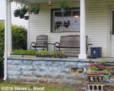 Transplants line back porch