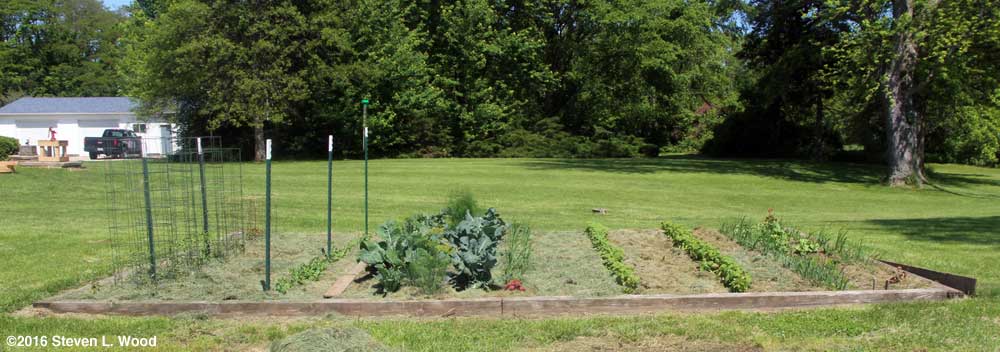 Main raised bed mulched