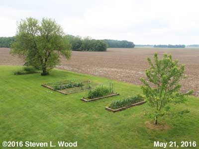 Our Senior Garden - May 21, 2016