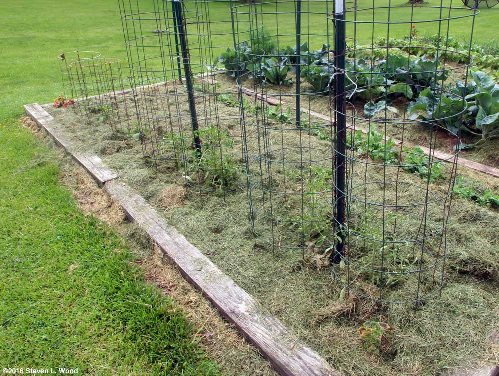 Peppers and tomatoes