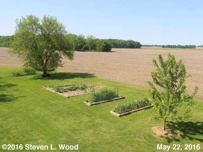 Our Senior Garden - May 22, 2016