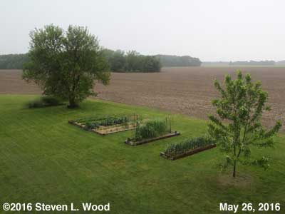 Our Senior Garden - May 26, 2016