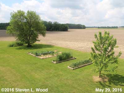 Our Senior Garden - May 29, 2016