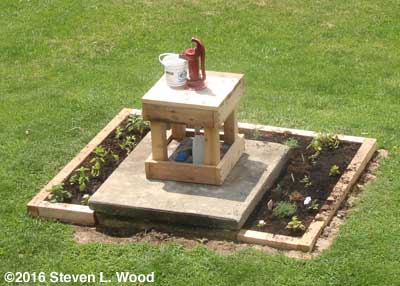 Shallow well pum and herb bed