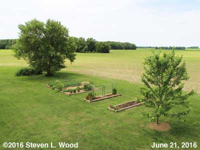 Our Senior Garden - June 21, 2016