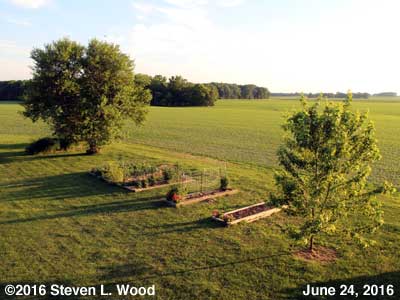 Our Senior Garden - June 24, 2016 (8:30 pm)