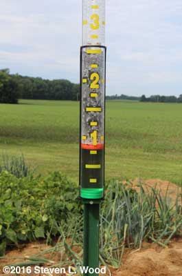 Rain gauge