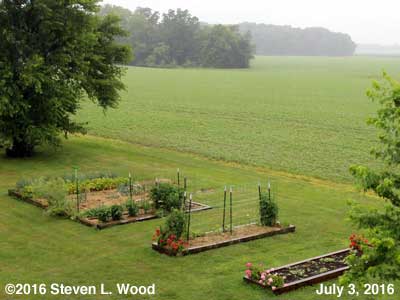 Our Senior Garden - July 3, 2016