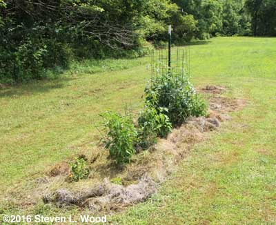 Recovered isolation plot