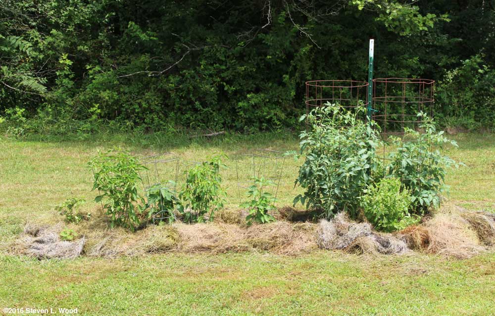 Another view of an isolation plot