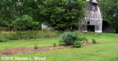 Isolation plot by barn