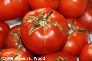 Trimmed, the tomatoes will still taste good
