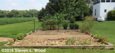 Main raised bed