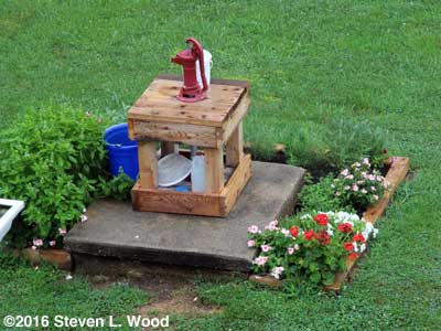 Flowers and herbs around shallow well