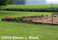 Various flowers edge main raised bed