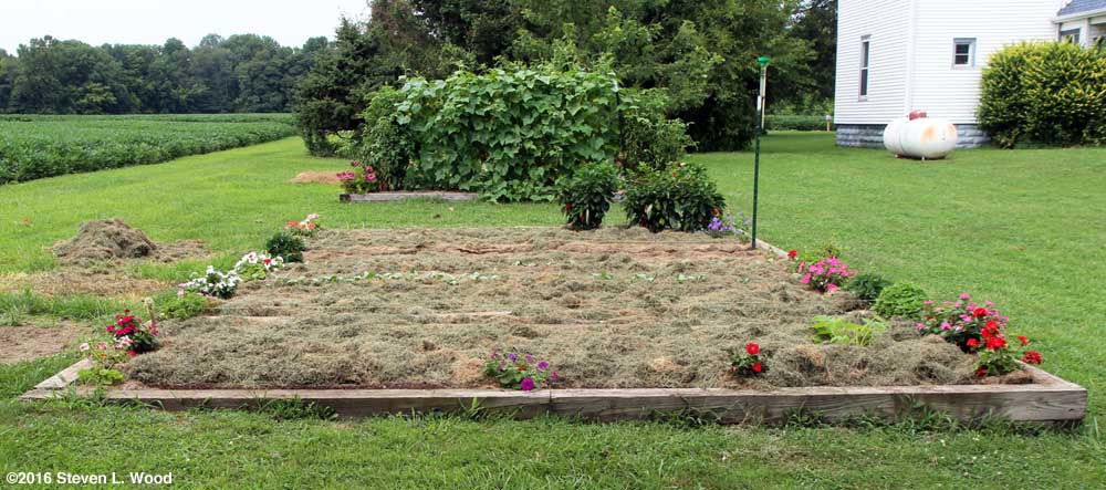 Raised bed mulched