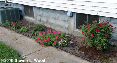 East flowerbed