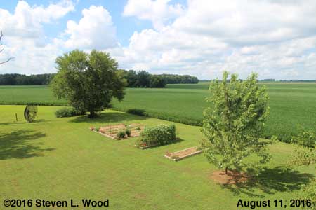 Our Senior Garden - August 11, 2016